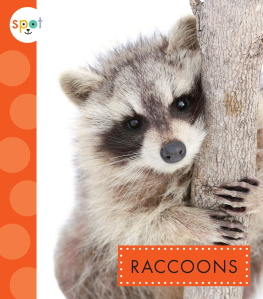 Marysa Storm Raccoons