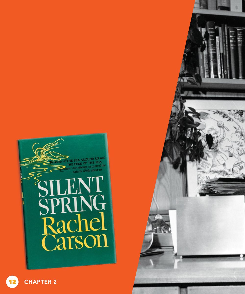 In 1962 a book came out Rachel Carson wrote it It was called Silent - photo 12