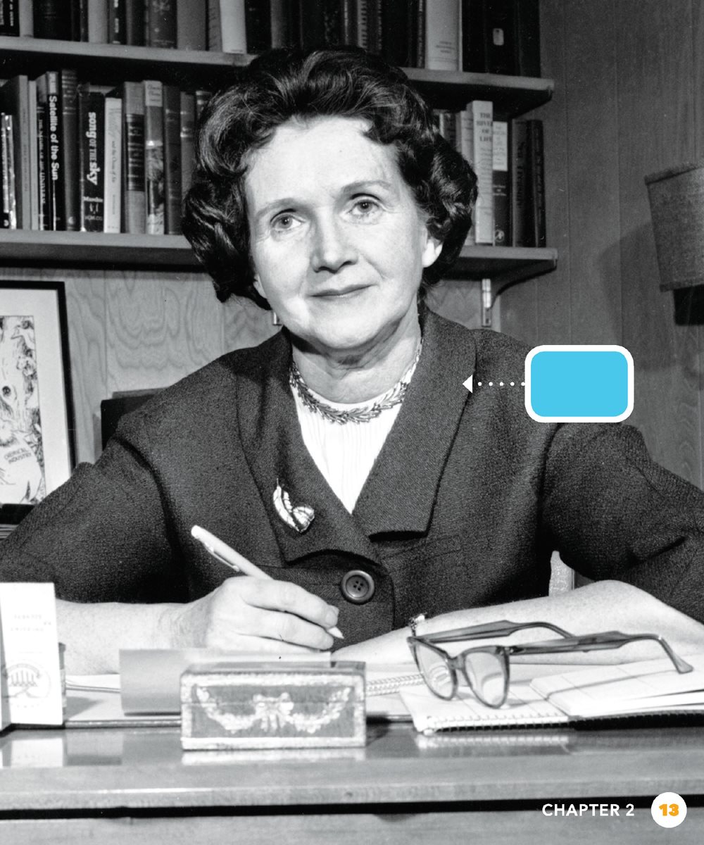 Rachel Carson More laws soon passed In 1967 the birds were listed as - photo 13