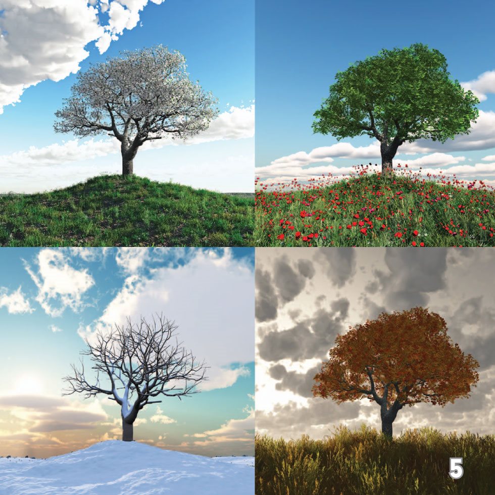 Seasons change because Earths axis is tilted The tilt makes one part of - photo 7