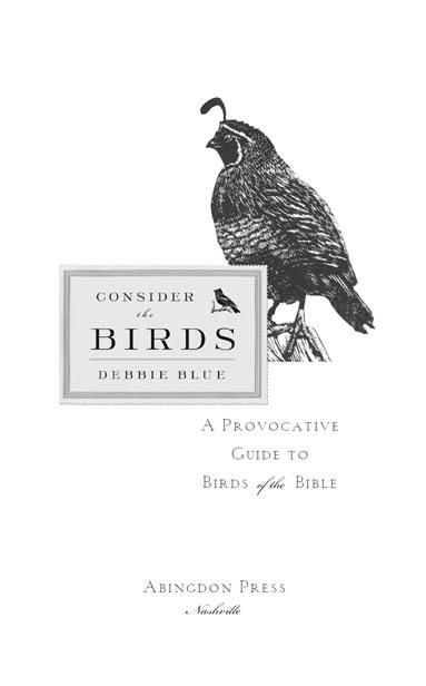 CONSIDER THE BIRDS A PROVOCATIVE GUIDE TO THE BIRDS OF THE BIBLE Copyright - photo 1