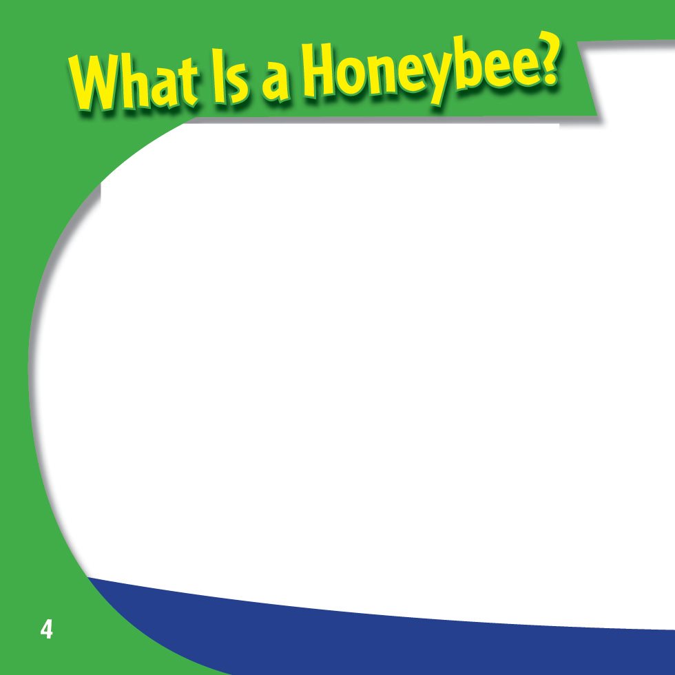 What Is a Honeybee A honeybee is an insect Two antennae on its head help - photo 6