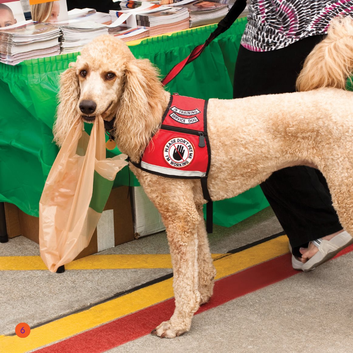 Service dogs are trained They help people How They do tasks Ed - photo 6