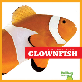 Cari Meister - Clownfish