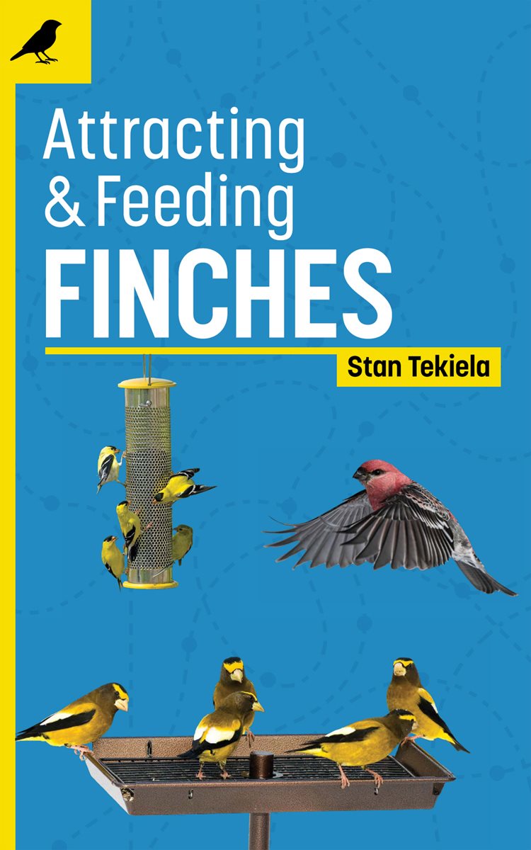 Dedication To my father who loved Purple Finches Acknowledgments Thanks to - photo 1