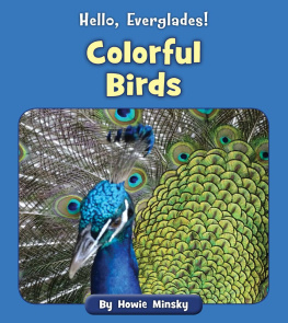 Howie Minsky - Colorful Birds