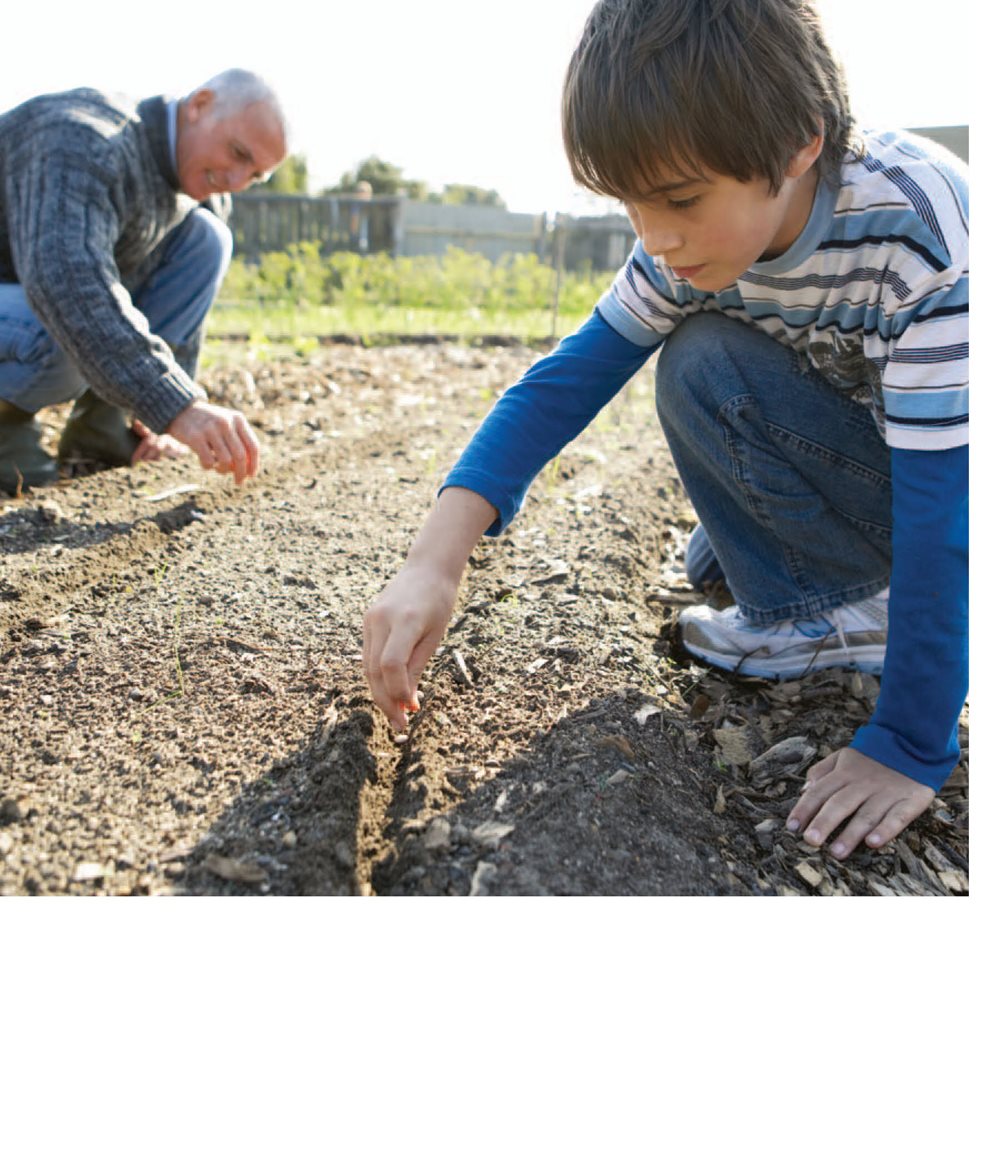 People plant seeds on farms and in gardens Seeds are also blown by - photo 12