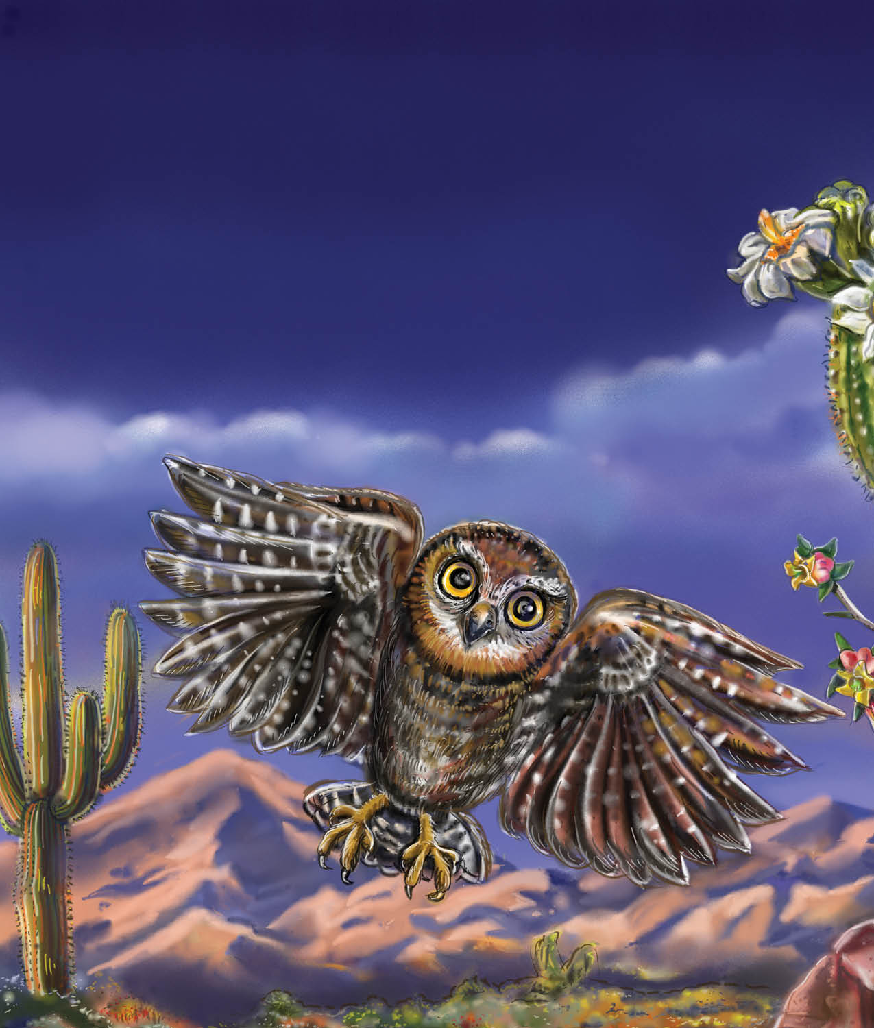 Yip Yip Yip In the hot Sonoran Desert an elf owl searches for a place - photo 10