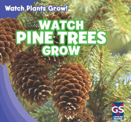 Therese M. Shea - Watch Pine Trees Grow