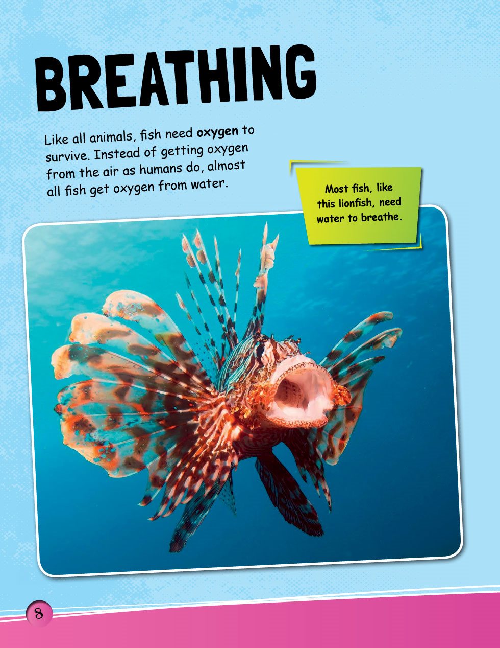 BREATHING Like all animals fish need oxygen to survive Instead of getting - photo 10