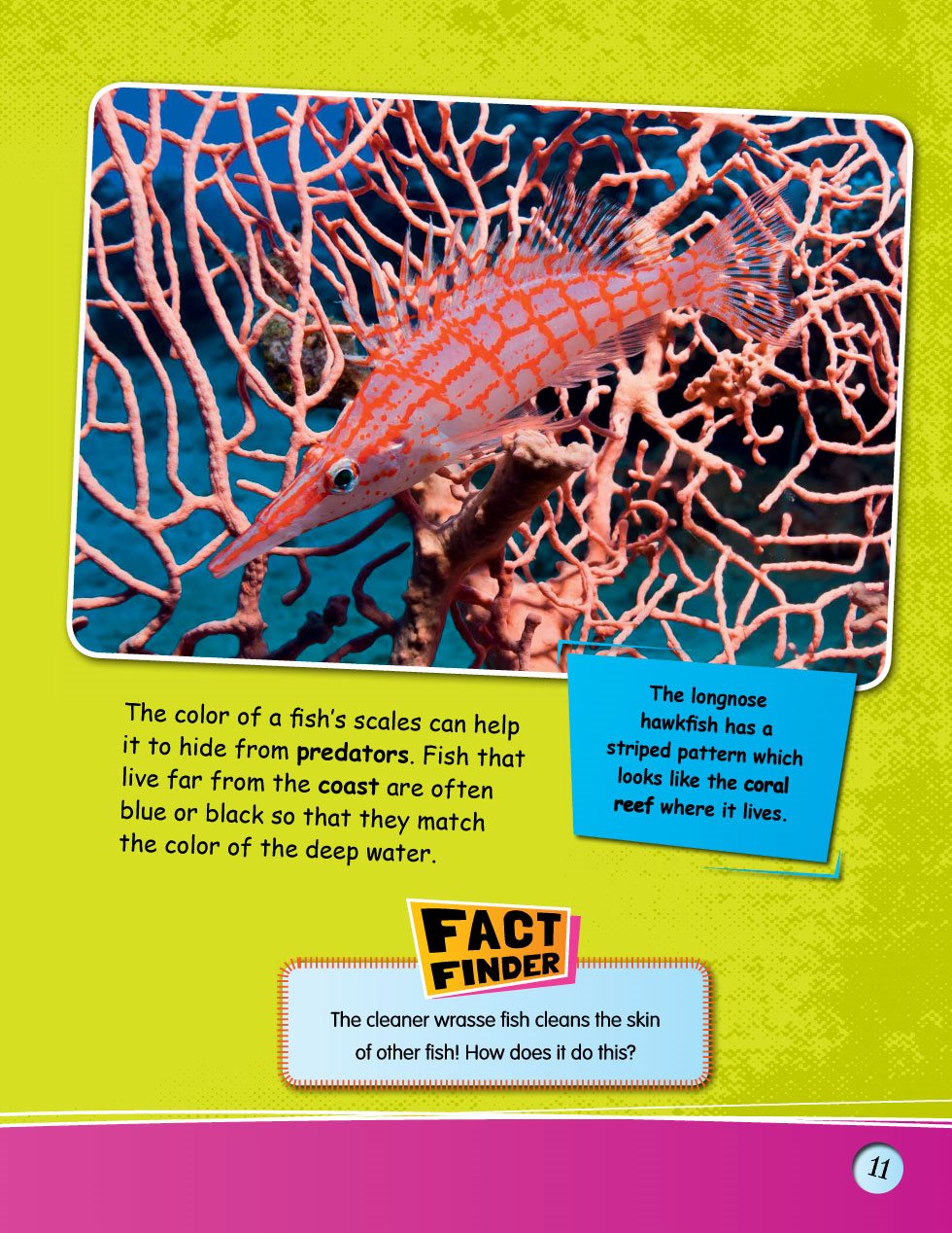 The color of a fishs scales can help it to hide from predators Fish that live - photo 13