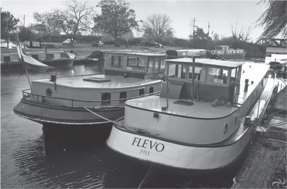 Leisure craft on the Ouse near Ely Sheep graze in front of Ely Cathedral - photo 4