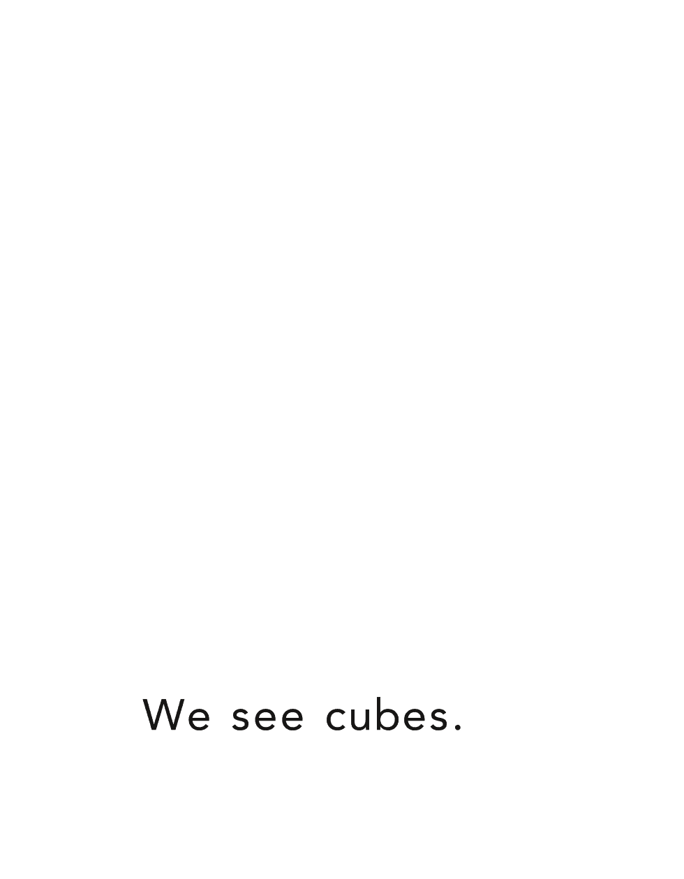 We see cubes - photo 24