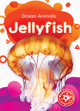 Derek Zobel - Jellyfish
