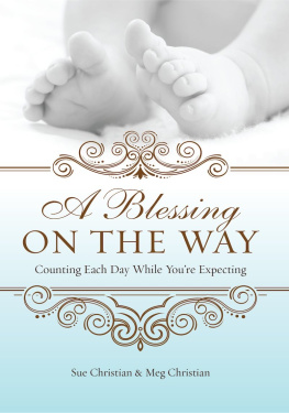 Meg Christian - A Blessing On The Way: Counting Each Day While Youre Expecting