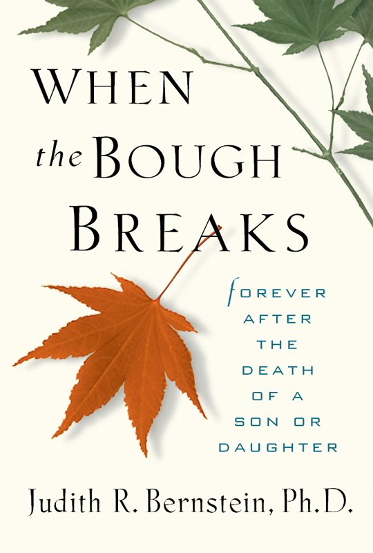 When the Bough Breaks When the Bough Breaks Forever After the Death of a - photo 1