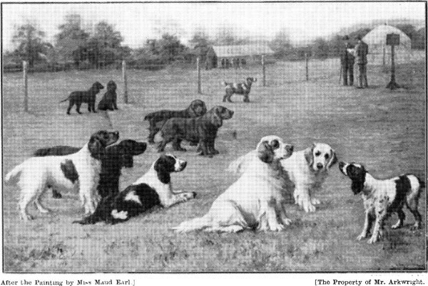 1899 IDEALS OF INTERNATIONAL GUNDOG LEAGUE SPORTING SPANIEL SOCIETY SPANIELS - photo 1