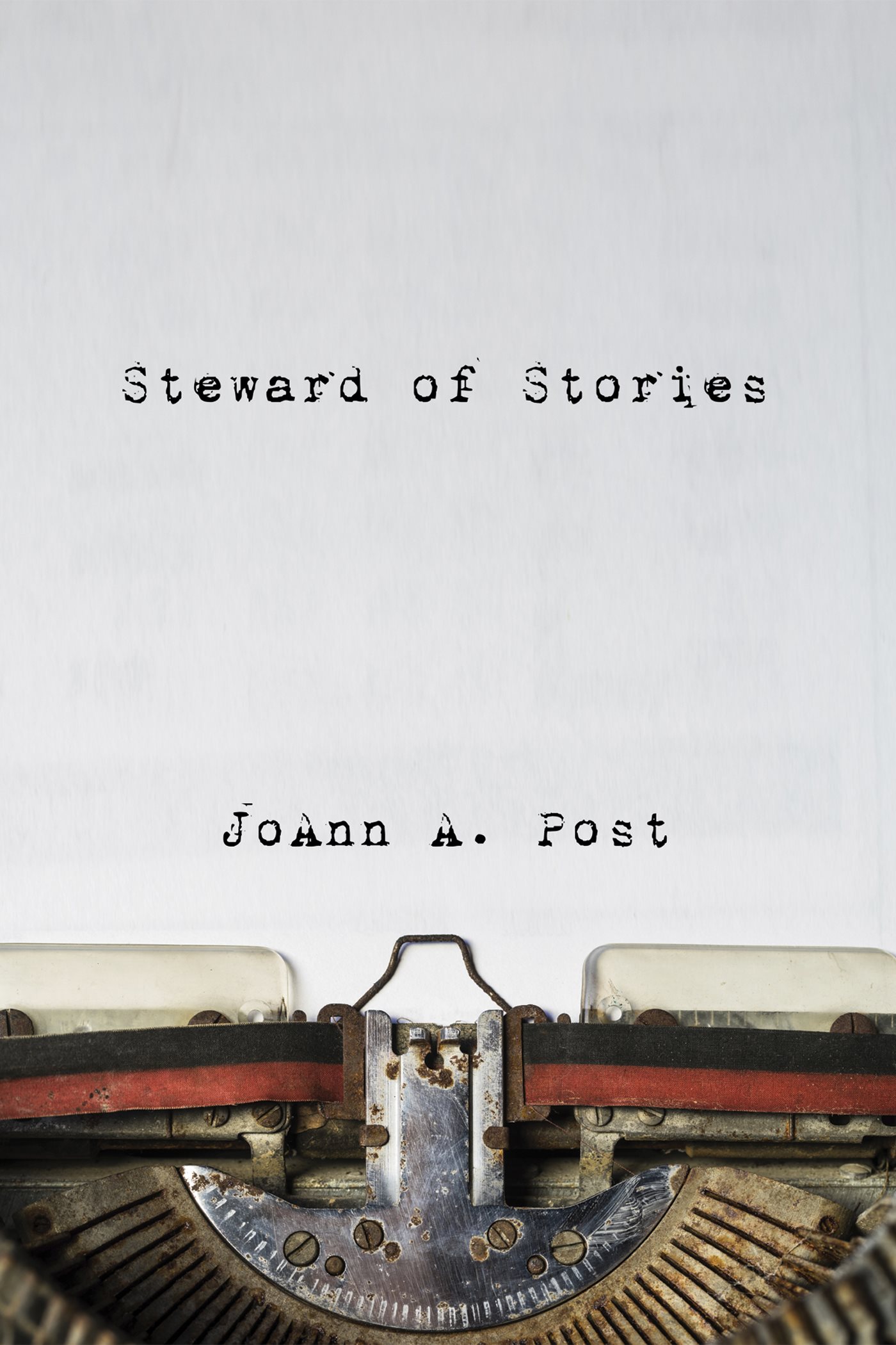 Steward of Stories Reflecting on Tensions in Daily Discipleship JoAnn A Post - photo 1