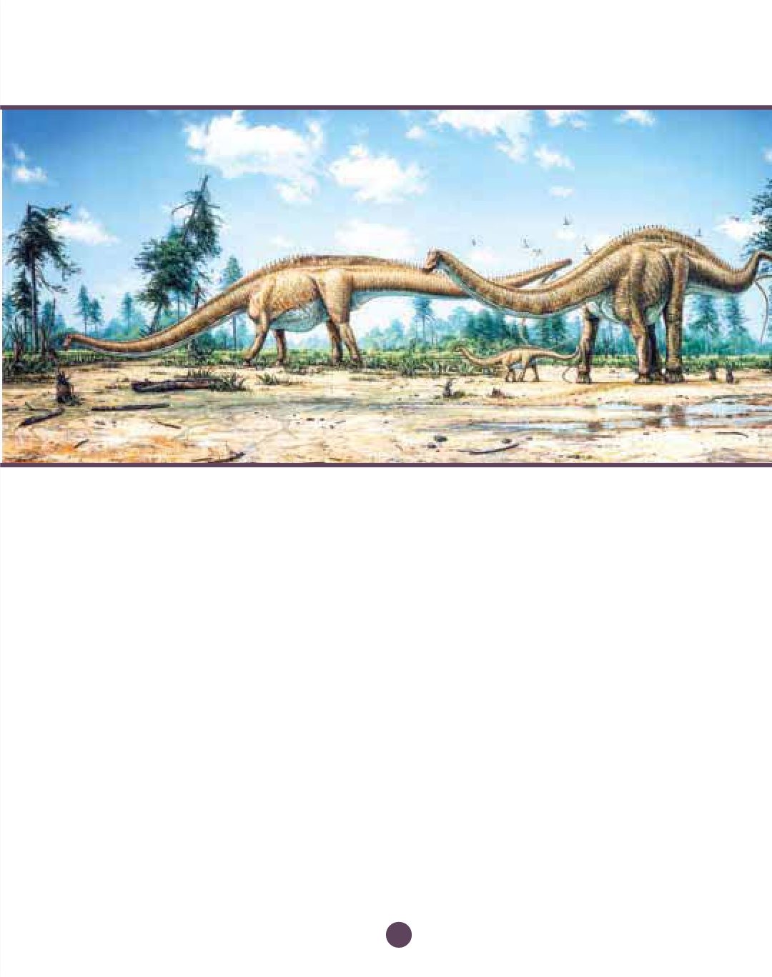 Diplodocus was a dinosaur that really loved to eat It had to eat a lot of food - photo 7