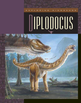 Susan H. Gray Diplodocus
