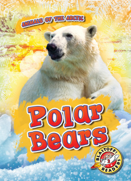 Rebecca Pettiford - Polar Bears