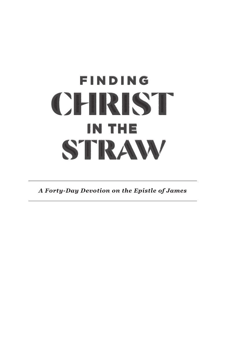 Finding Christ in the Straw A Forty-Day Devotion on the Epistle of James 2020 - photo 2