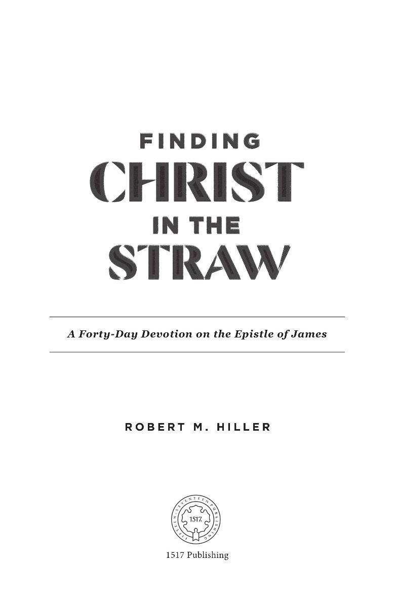 Finding Christ in the Straw A Forty-Day Devotion on the Epistle of James 2020 - photo 3