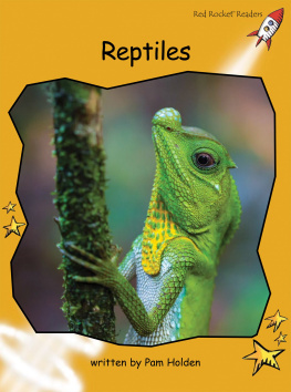 Pam Holden - Reptiles