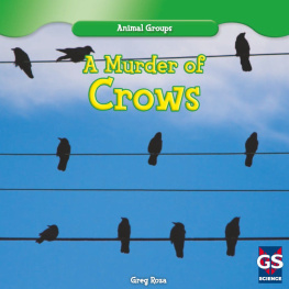 Greg Roza A Murder of Crows