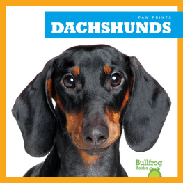 Kaitlyn Duling - Dachshunds