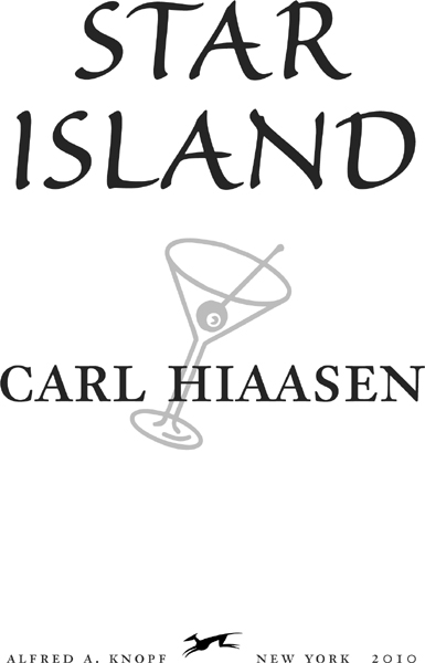 Star Island - image 2