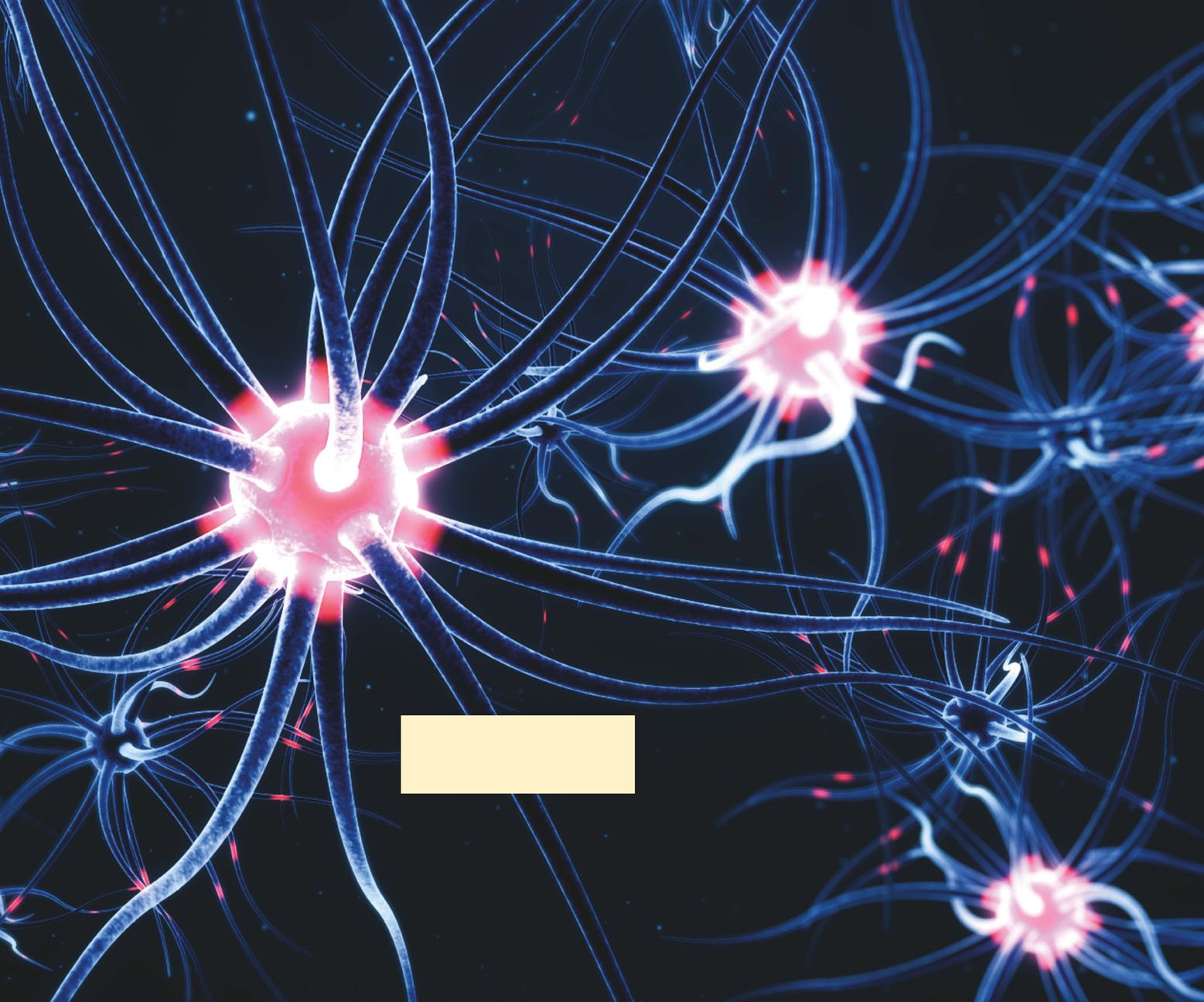 nerve cell Kinds of Nerves Nerves are all over my body There are - photo 13