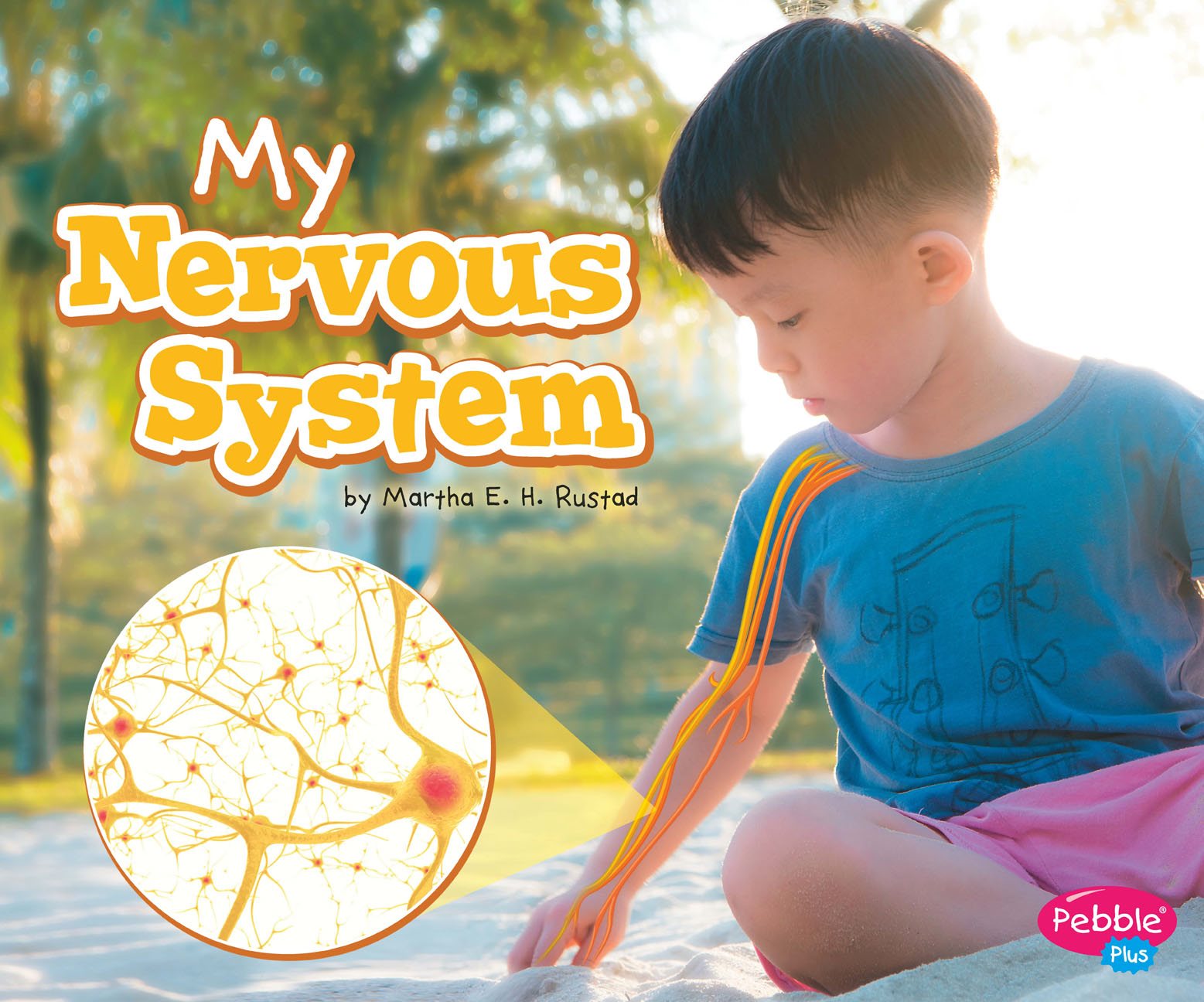 M y Nervous System by Martha E H Rustad Consultant Natasha Kasbekar - photo 1