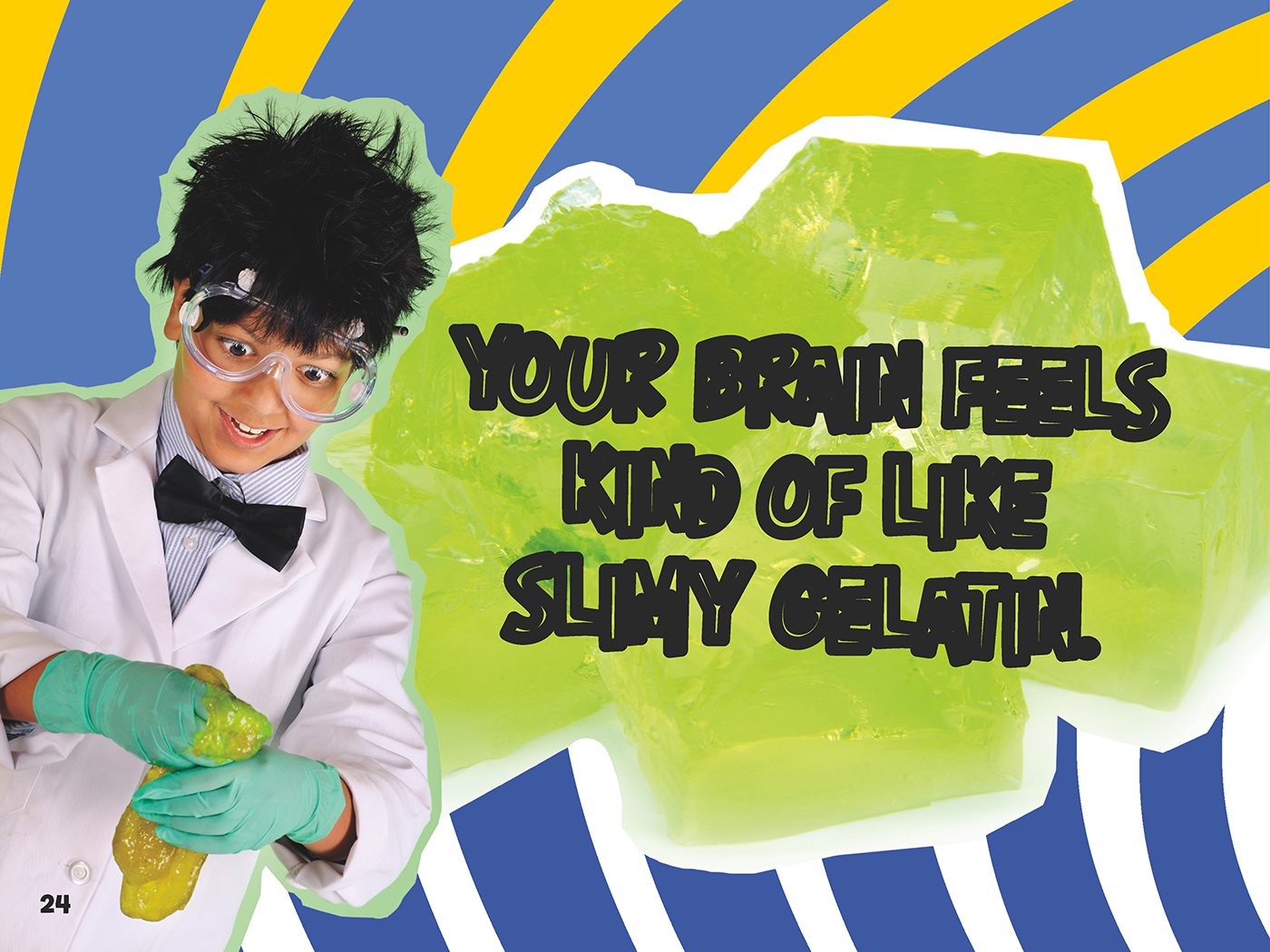 Your brain feels kind of like slimy gelatin Part of your brain looks - photo 25