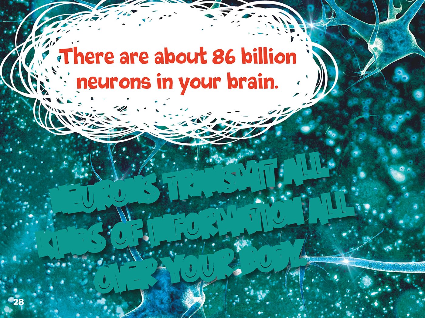 There are about billion in your brain Neurons transmit all kinds of - photo 29