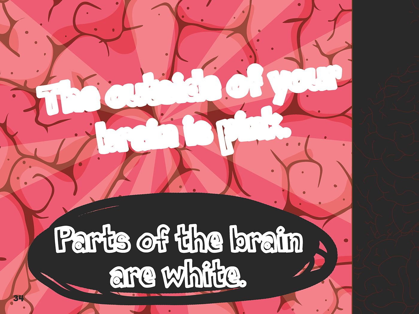 The outside of your brain is pink Parts of the brain are white - photo 35