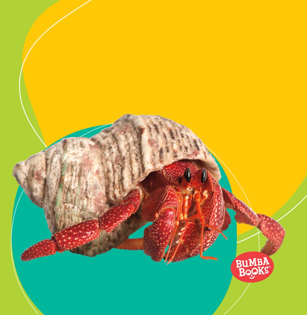 I LOVE HERMIT CRABS by Harold T Rober Note to Educators Throughout - photo 1