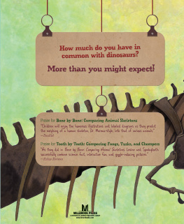 Sara Levine - Fossil by Fossil: Comparing Dinosaur Bones