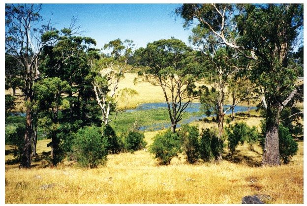 From a series of Mount Pleasant snapshots 1996 The tomb ground Cynthias - photo 7