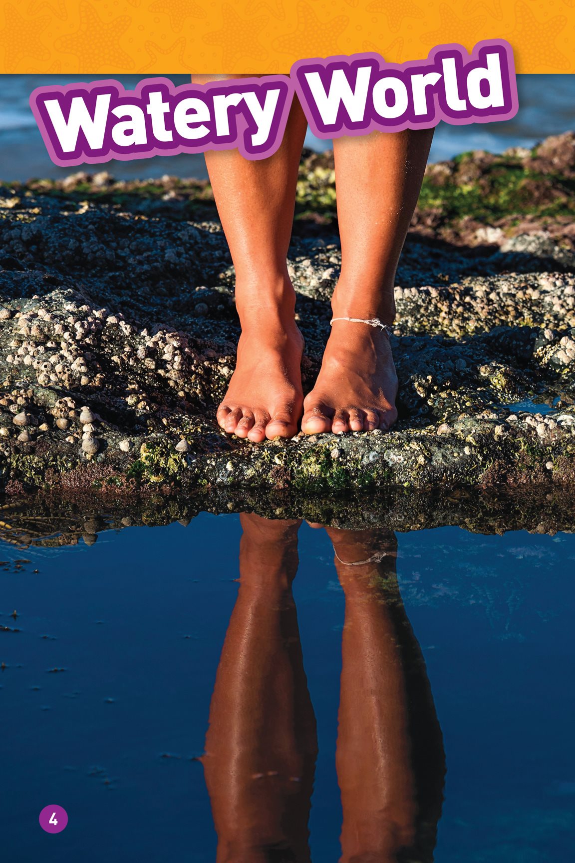 Have you ever been to a rocky beach Sometimes there are small areas of - photo 6