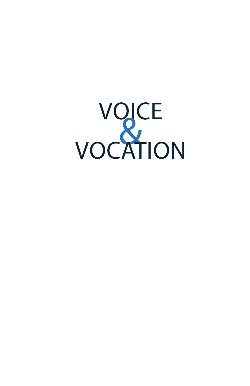 VOICE VOCATION VOICE VOCATION A workforce practitioners guide - photo 1