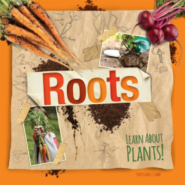 Steffi Cavell-Clarke - Roots