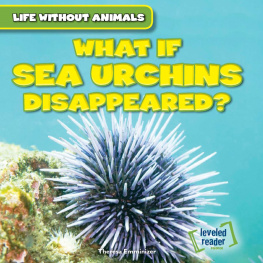 Theresa Emminizer What If Sea Urchins Disappeared?