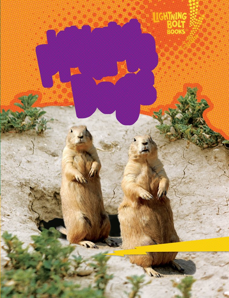 Lets Look at Prairie Dogs - image 1