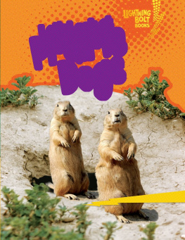 Christine Zuchora-Walske - Lets Look at Prairie Dogs