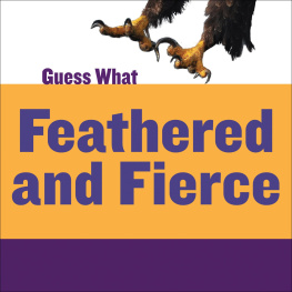 Kelly Calhoun - Feathered and Fierce: Bald Eagle