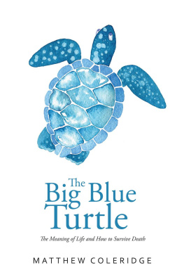 Matthew Coleridge The Big Blue Turtle: The Meaning of Life and How to Survive Death