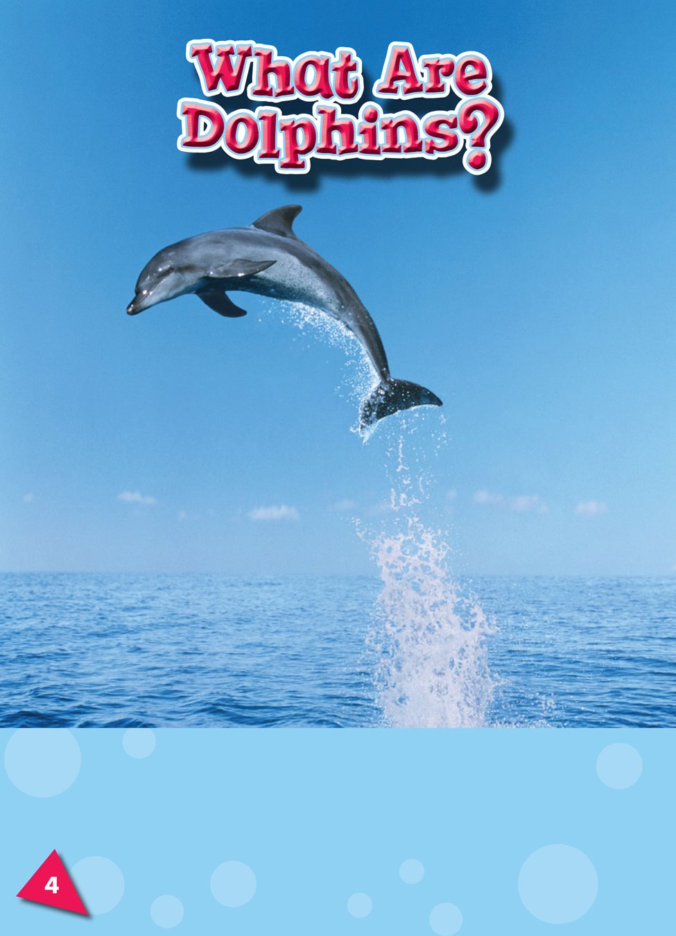 Splash Dolphins jump above the ocean waves Dolphins are Mammals - photo 3