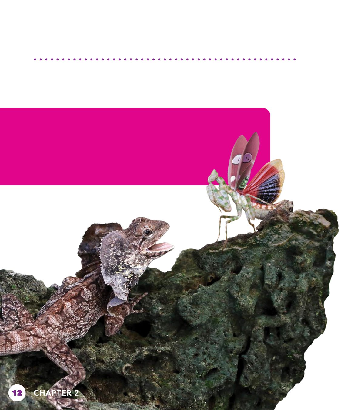 CHAPTER FLASHY FRILLS How do frilled lizards get their colors Some come - photo 12