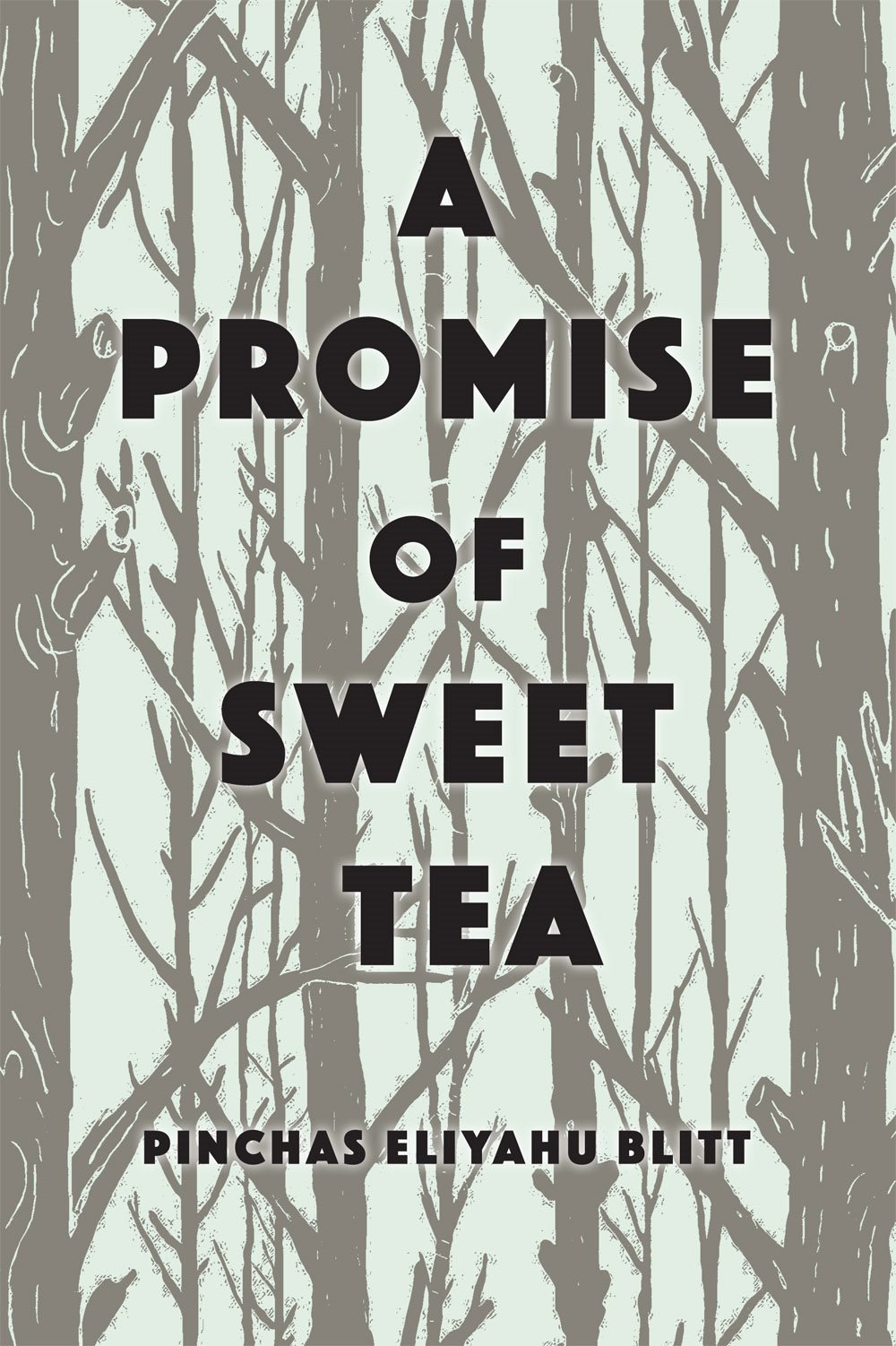 A Promise of Sweet Tea THE AZRIELI SERIES OF HOLOCAUST SURVIVOR MEMOIRS - photo 2